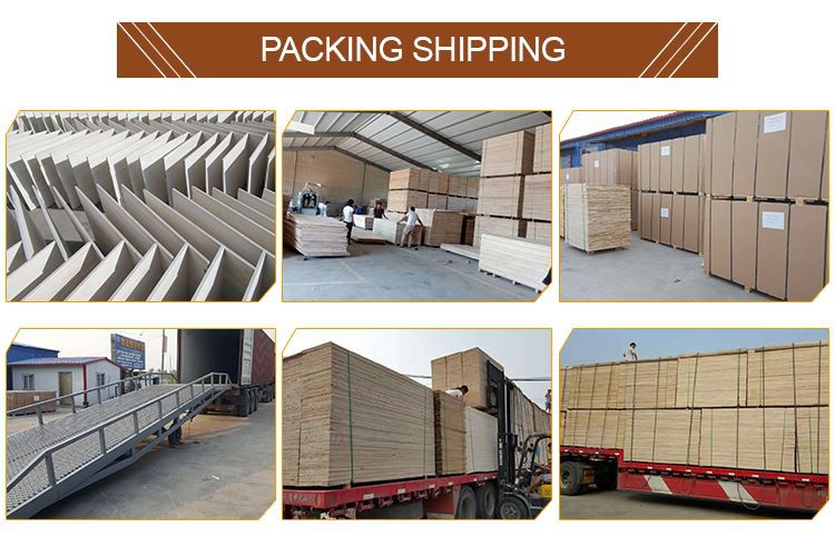 shipment