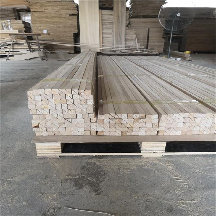 Strip Talang Kayu Paulownia