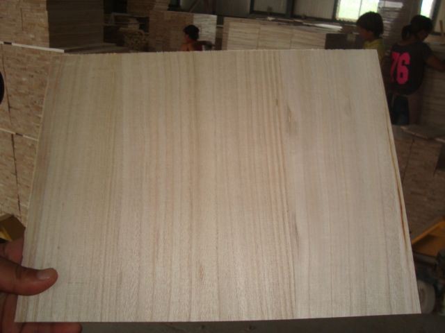 Papan Pelatihan Taekwondo/Karate
