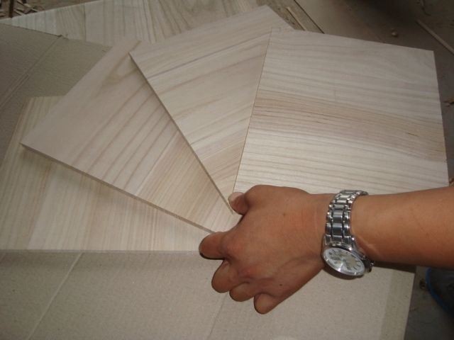 Taekwondo/Karate Training Boards