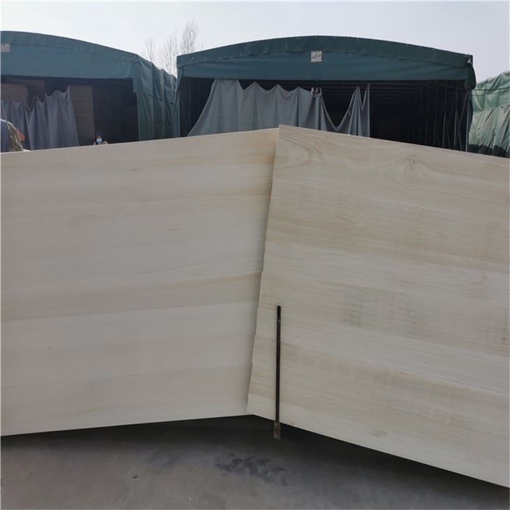 Kayu Paulownia 18mm